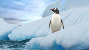 ice-blue-linux-wallpaper ice-blue-linux-wallpaper