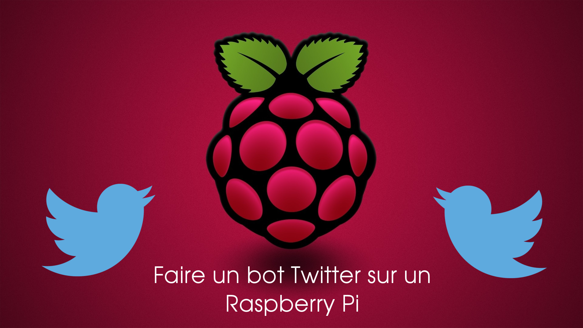 Faire un bot Twitter sur son Raspberry Pi