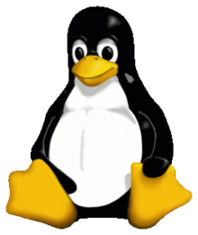 Paramétrage de la Shared Memory sous Linux