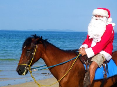 Père Noël à cheval en short devant la mer par beau temps