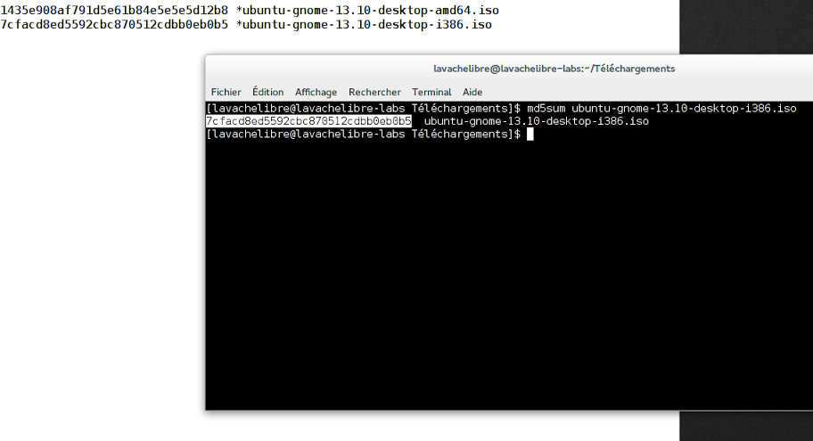 MD5-Check