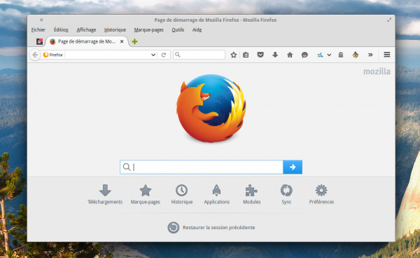 Firefox in GTK2 mode