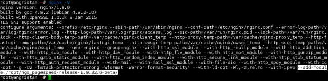 Compiler et installer Nginx avec le module PageSpeed pour Debian