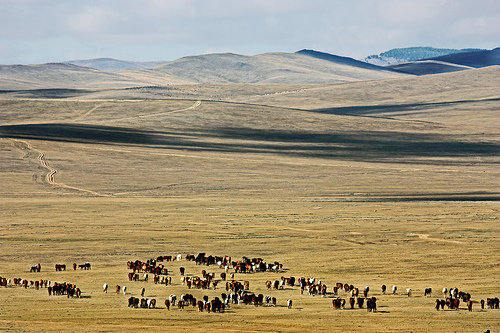 Mongolia - Mongolei