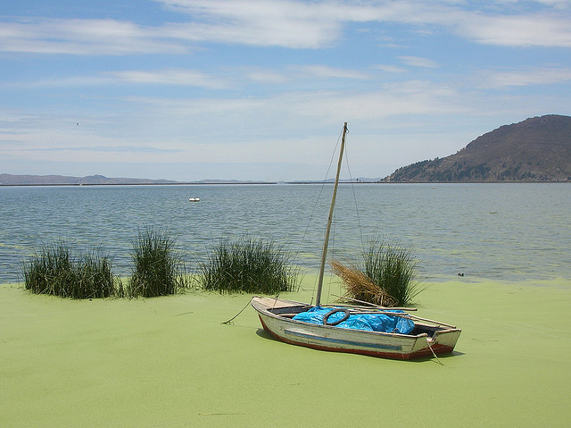 Lago Titicaca. En primer plano la "lenteja".