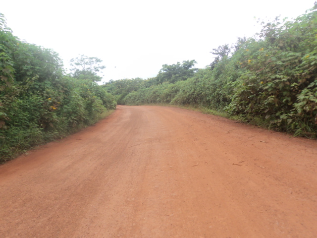 sur la route de Kent-zou à l'Est cameroun
