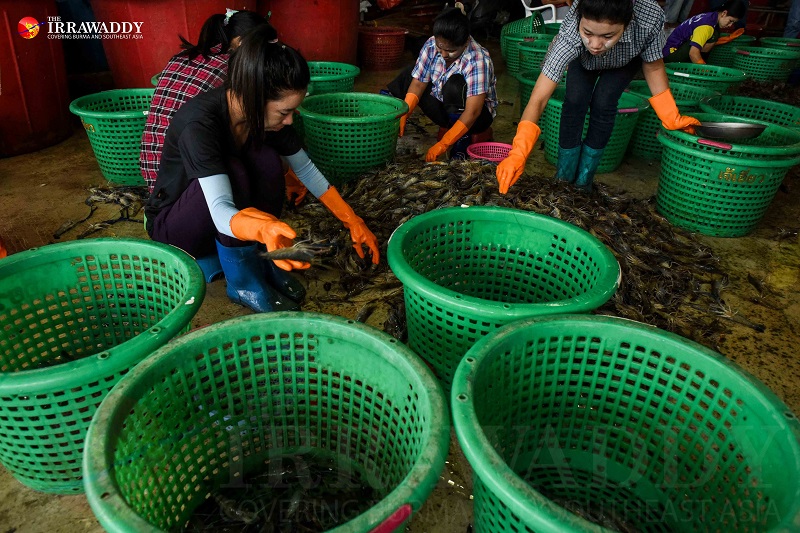 Migrant workers are pictured laboring in the Talaat Kung shrimp market in Mahachai, Samut Sakhon, Thailand. (Photo: JPaing / The Irrawaddy)
