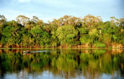 Amazonia, Brasil. Photo by Andre Deak and used under a CC BY 2.0 license.