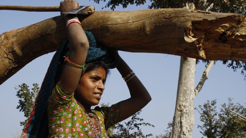 The women of the mountain villages in Rajasthan, India, carry 70 albs of wood on their heads every day for their cook fires. Image from Flickr by Engineering For Change. CC BY-SA 2.0