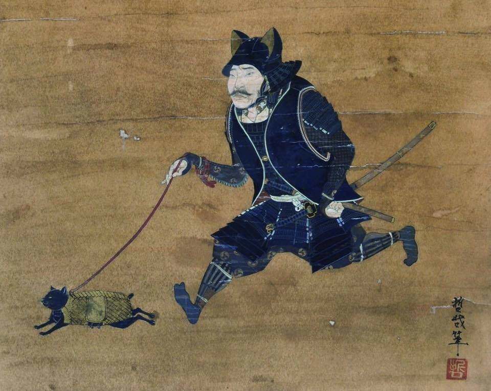 ‘Warrior takes armoured cat for a walk’