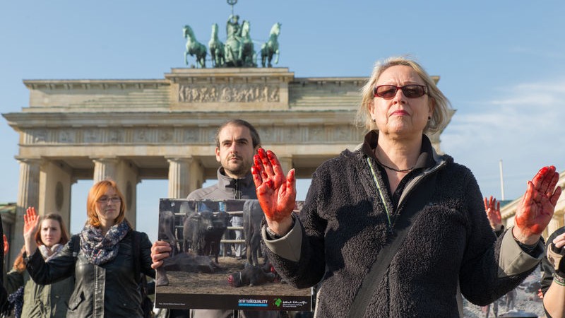 Animal rights activists of Animal Equality protested at Brandenburg Gate against the world's biggest animal sacrifice in Gadhimai in Nepal, with blood on the hands and signs with sacrificed animals. Image by Florian Boillot . Copyright Demotix (28/10/2014)