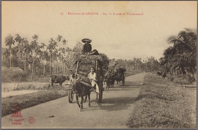 A wagon in a Saigon road. Photo from The New York Public Library Digital Collections. 1908