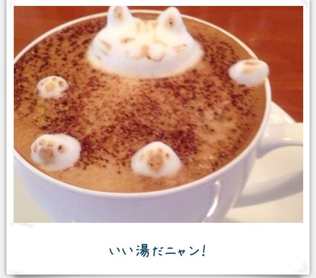 facebook photo by caffe.bar.jihan. A cat is taking a bath in espresso coffee 