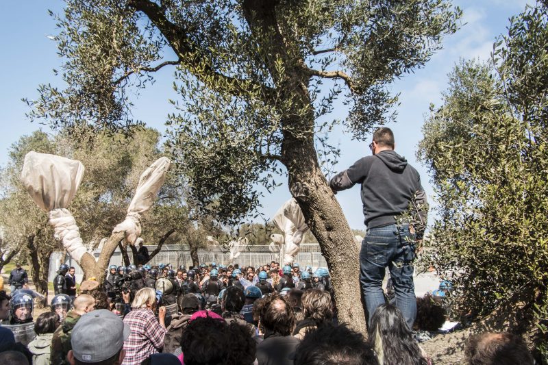 Les gens de Melendugno protègent les oliviers contre le gazoduc Trans Adriatique. Photo: Alessandra Tommasi