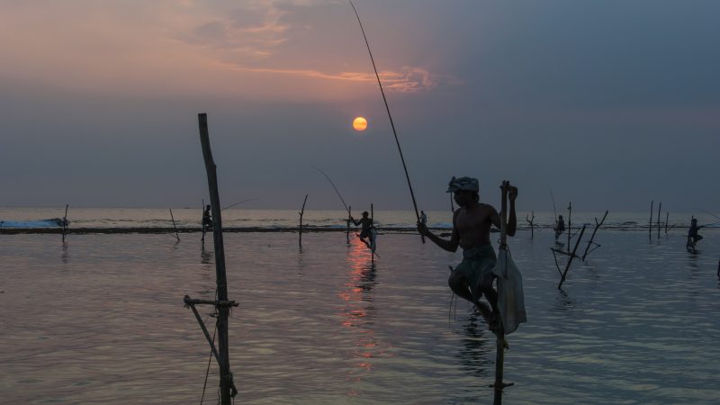 Pêche sur échasses au crépuscule - attraction touristique unique au Sri Lanka. Photo de Thomas Keller sur Flickr. BY-NC-ND 2.0