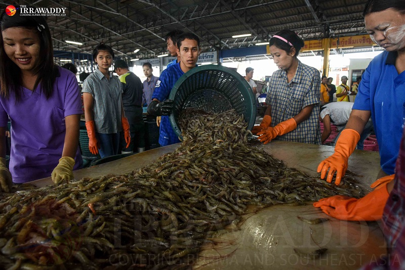 Migrant workers are pictured laboring in the Talaat Kung shrimp market in Mahachai, Samut Sakhon, Thailand. (Photo: JPaing / The Irrawaddy)