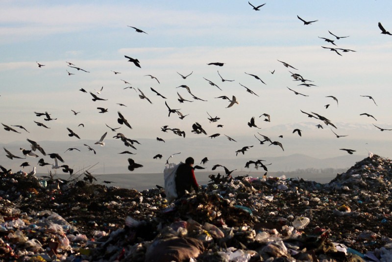 Birds have plenty to pick on at the dump. Photo by Azamat Imanaliev. Used with permission.