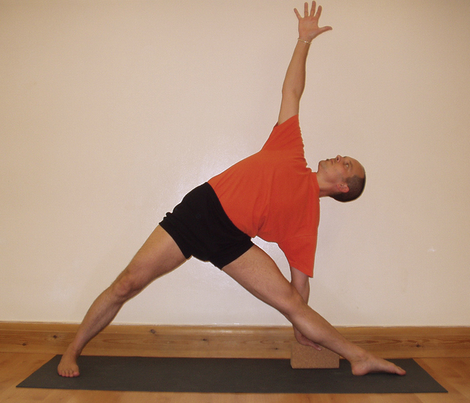 A student performing Uttitha Trikonasana, triangle pose, one of the basic standing poses in Iyengar Yoga. Image by Matthew Greenfield via Wikipedia. CC BY-SA 3.0