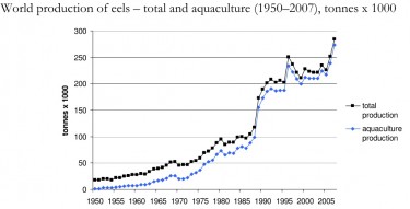 Total eel production. Figure from the TRAFFIC report written by Vicki Crook.