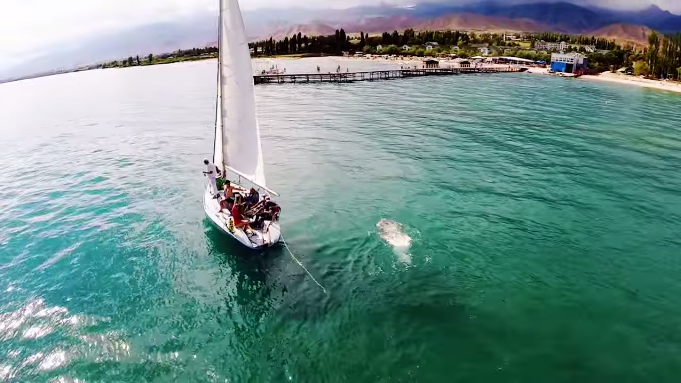 Issyk-Kul during the tourist season. Screenshot from video uploaded onto YouTube by Alexey Nikitin.