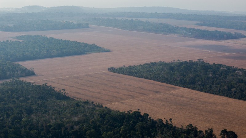 ¡rea de plantio de soja no arredores de SantarÈm e Belterra. FLAVIO FORNER/XIB…/INFOAMAZONIA