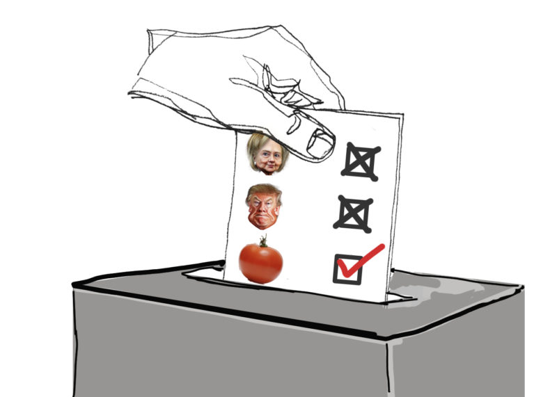 Hand and ballot illustration public domain from Pixabay. Clinton and Trump caricatures by DonkeyHotey (CC BY-SA 2.0)