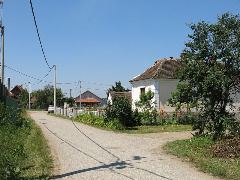 A street in the village of Šopić. Photo by Dungodung, used under CC BY-SA 3.0 license. 