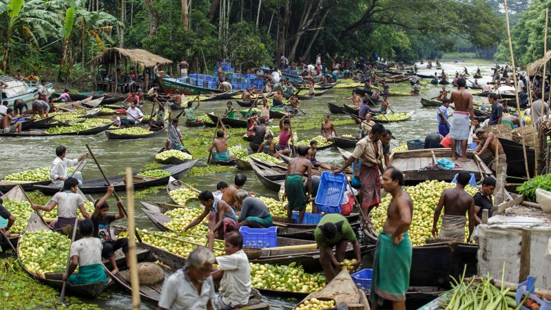 Floating Guava Market in Full flow. Vimruli, Jhalokathi, Bangladesh | 2015 © Md. Moyazzem Mostakim, Used with permission