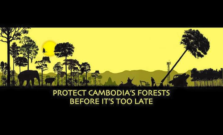 Image extraite de la page Facebook de  'Prey Lang - It's Our Forest Too'  (Prey Lang - est notre forêt aussi'