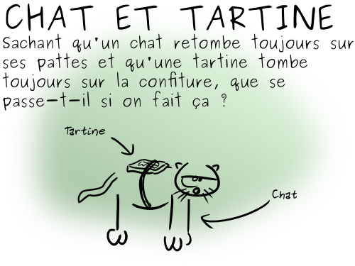 14-09-04 - Chat et tartine (1)