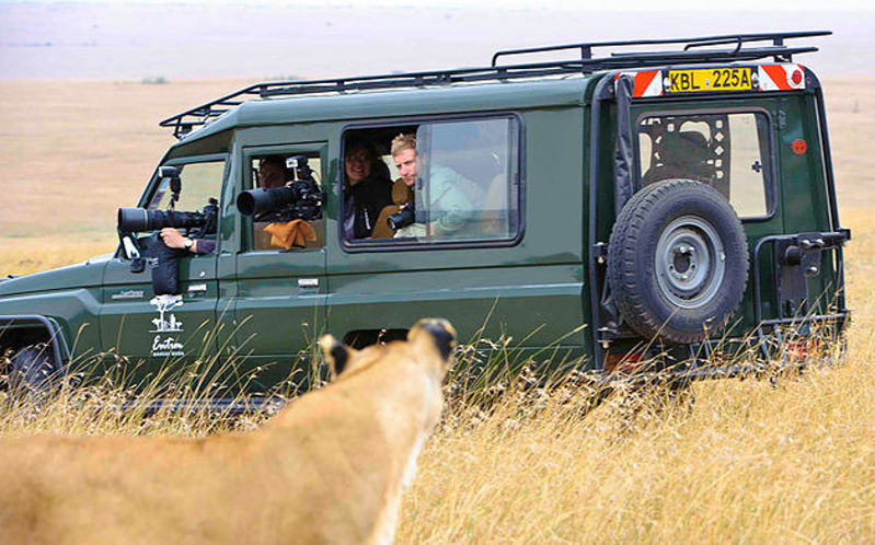 safari photo