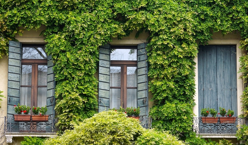façade verte