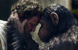 apes