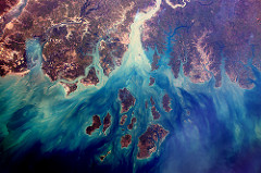 Saloum Delta