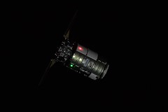 Cygnus in darkness
