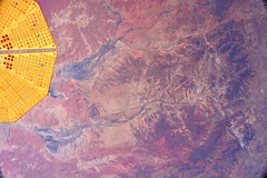 Cygnus over Queensland