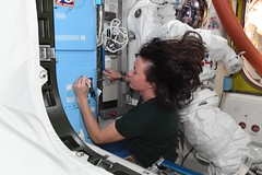 Megan and spacewalk patch