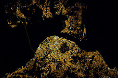 Lisboa at night