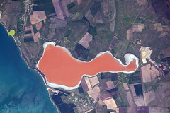 Coloured lakes