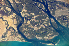 Saloum Delta