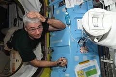Mark signing spacewalk patch