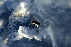 Cygnus over clouds