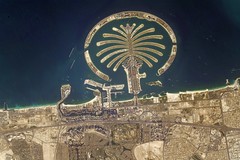Dubai palm
