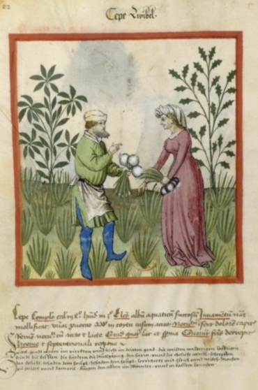 (manuscrit médiéval, banque d'images BNF)