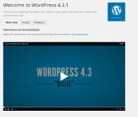 Wordpress Upgrade View