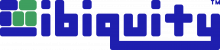 libiquity logo