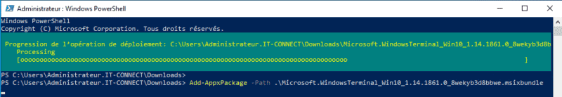 Installer Windows Terminal sur Windows Server 2022