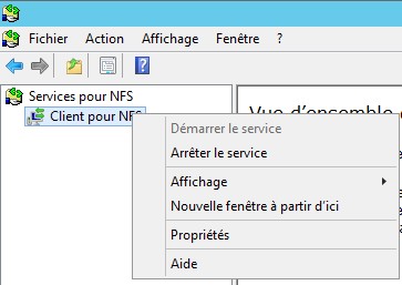 Propriété client pour NFS