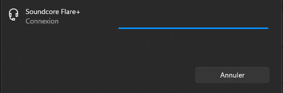 Connecter enceinte Bluetooth Windows 11