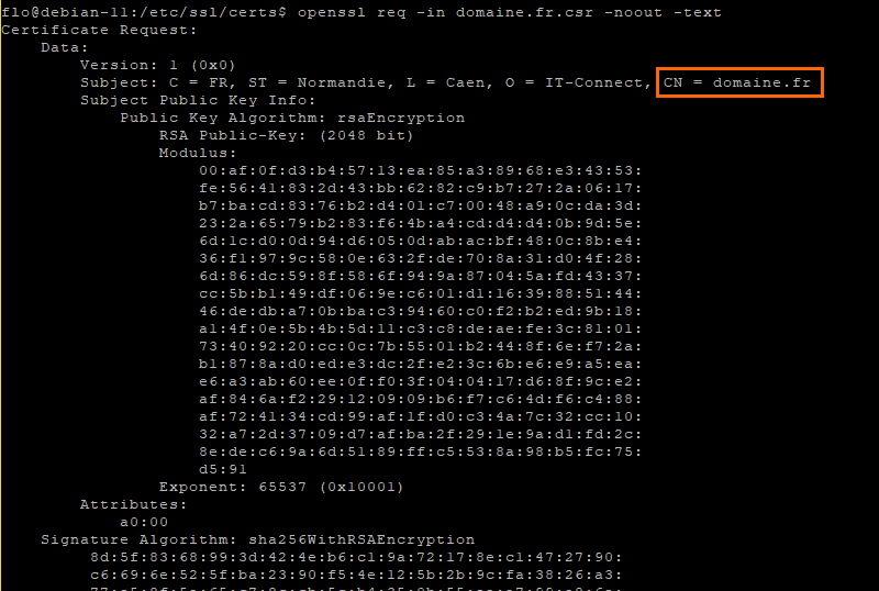 Afficher le contenu d'un CSR